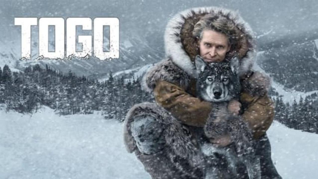 مشاهدة فيلم Togo 2019 مترجم ايجي بست